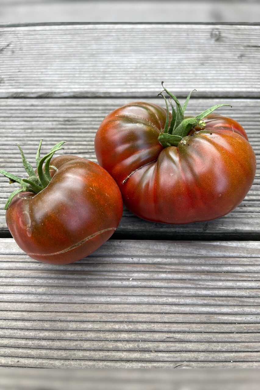 Tomate "Tschernij Prinz" - BIO-Tomatensorte [samenfest]
