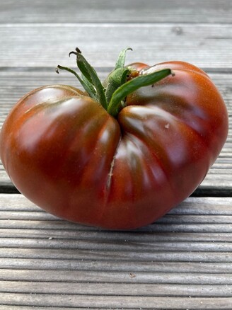 Tomate "Tschernij Prinz" - BIO-Tomatensorte [samenfest]